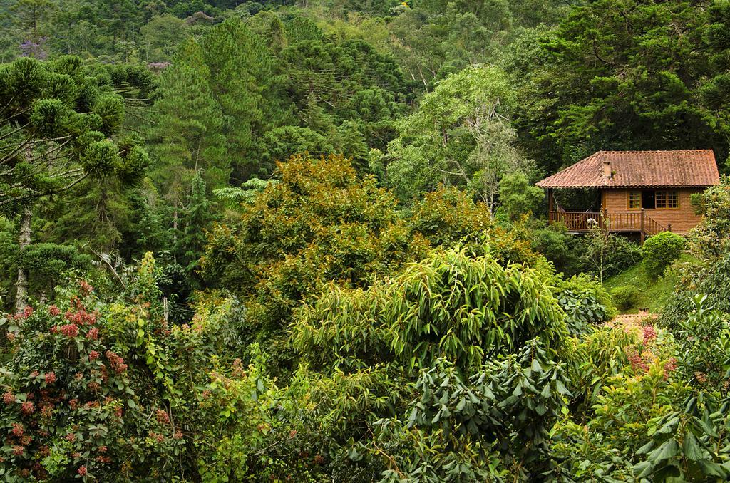 Pousada Das Araucarias Visconde De Maua Exteriör bild