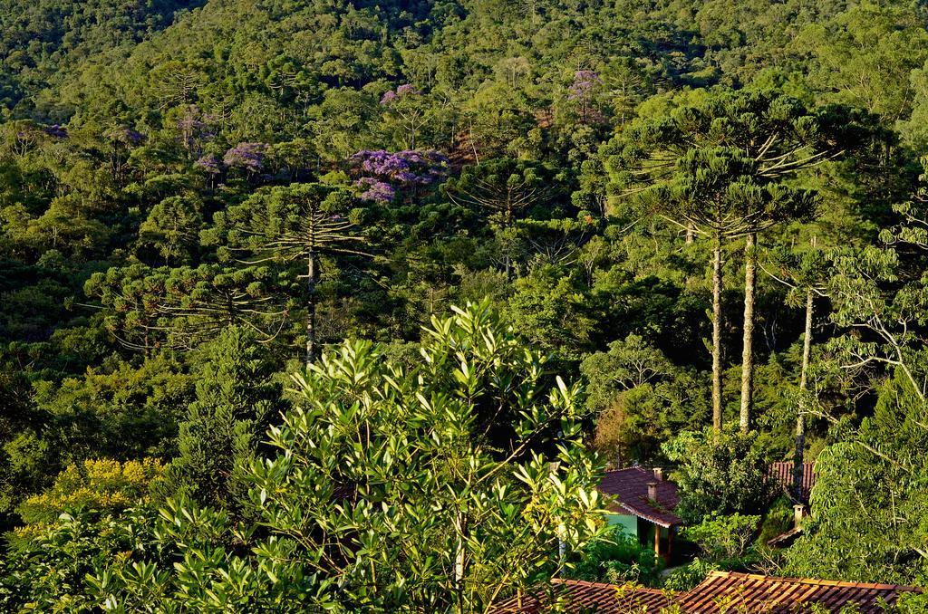 Pousada Das Araucarias Visconde De Maua Exteriör bild