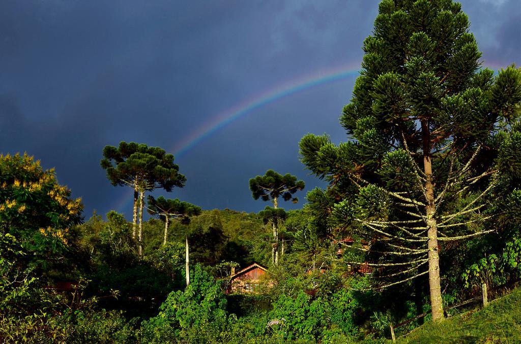 Pousada Das Araucarias Visconde De Maua Exteriör bild
